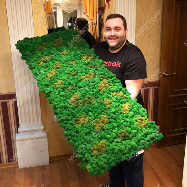 Купить Фитопанель