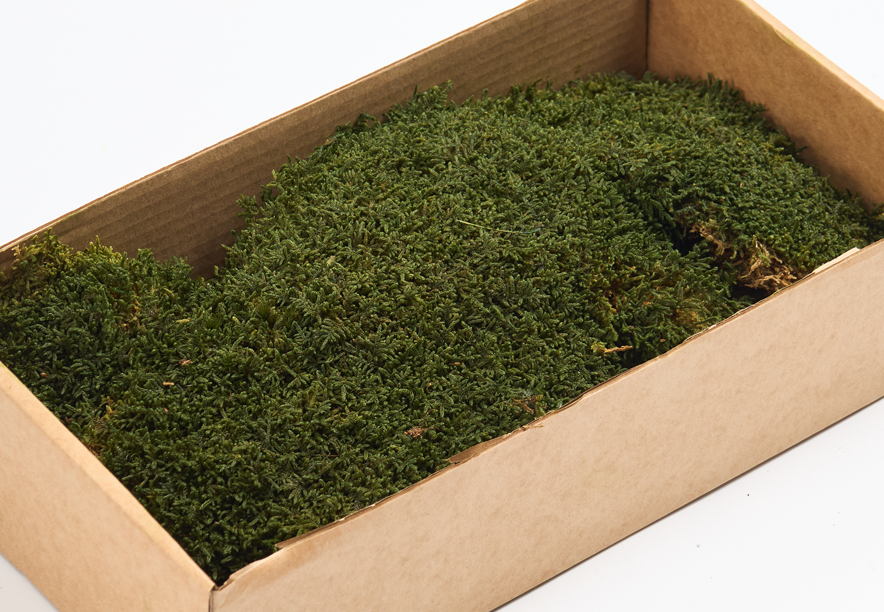 Купить Мох Пласты Medium Green