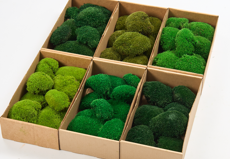 Купить Мох Кочка Apple Green