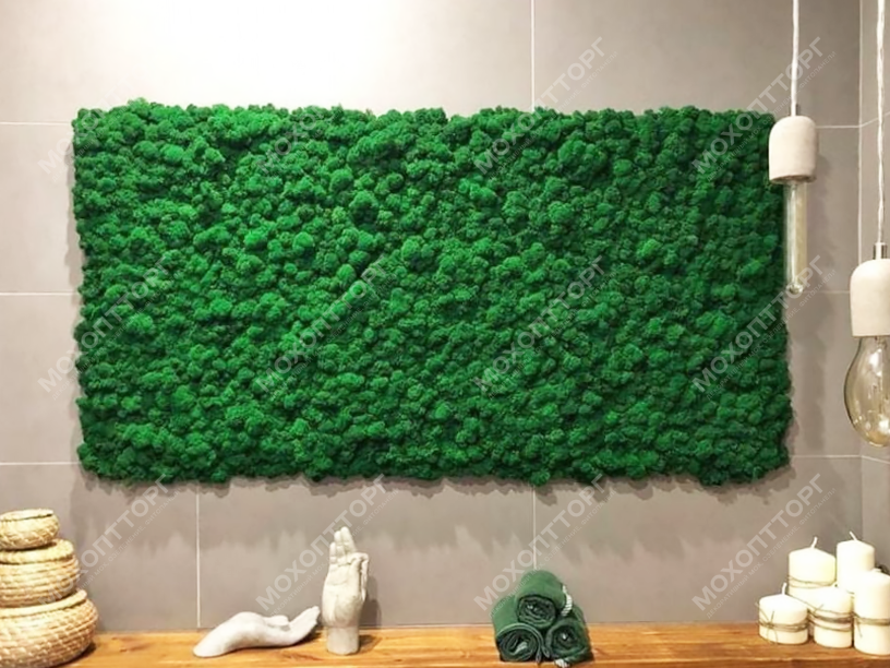 Купить Панно из мха. Простое