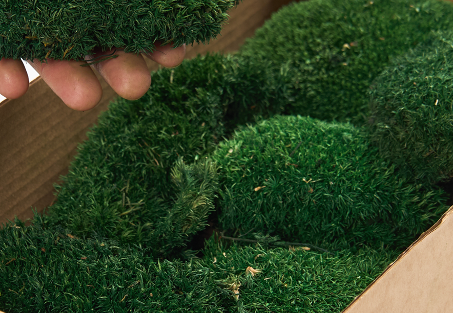 Купить Мох Кочка Natural Green