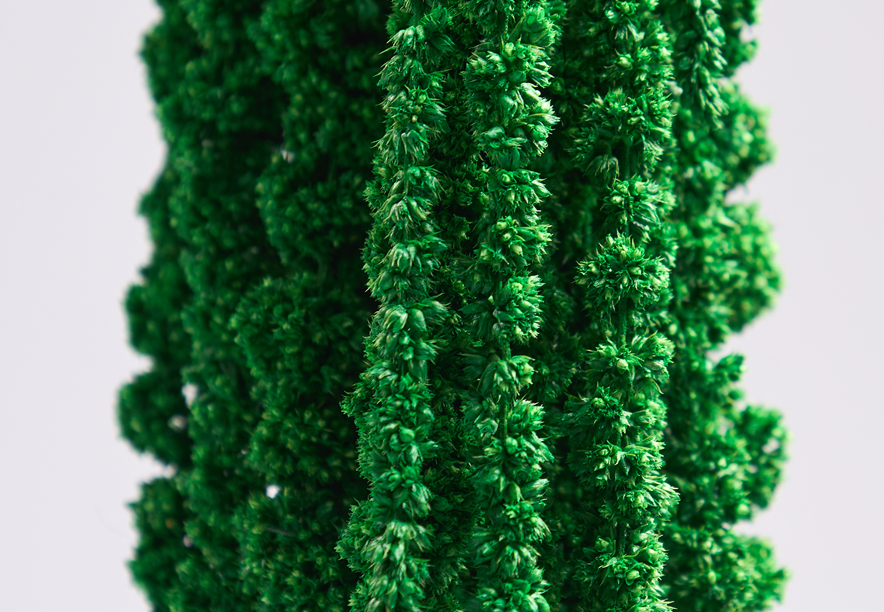 Купить Амарант Light green