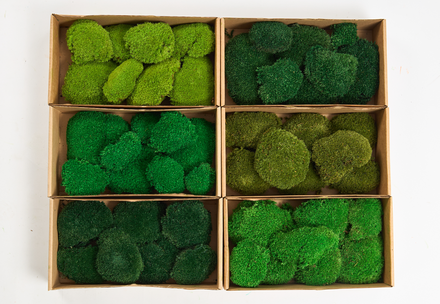 Купить Мох Кочка Apple Green