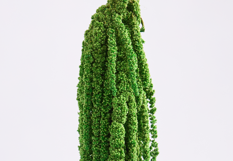 Купить Амарант Apple green