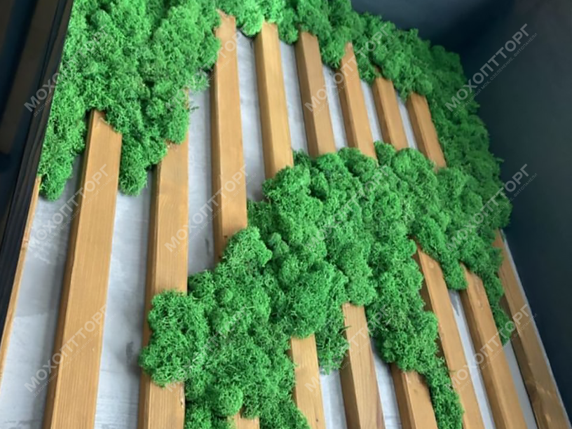 Купить Панель и озеленение