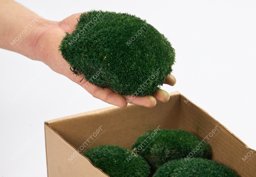 Купить Мох Кочка Dark Green