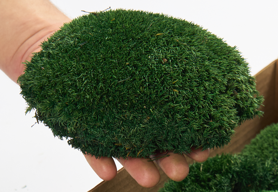 Купить Мох Кочка Natural Green